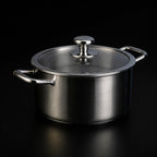 Titanium Cooking Pot with Lid
